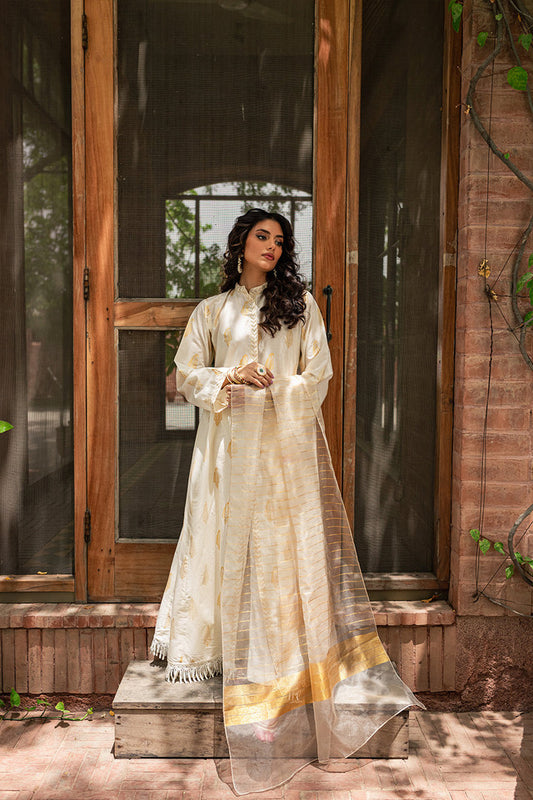 Beautiful Long Frock 3 Pcs by Mannat