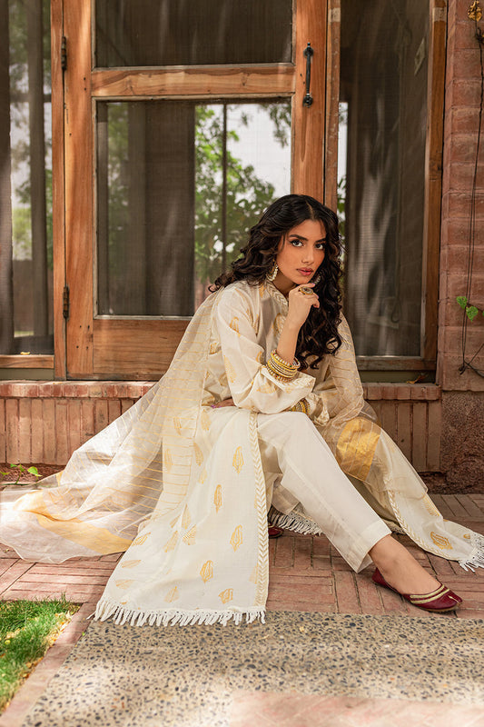 Beautiful Long Frock 3 Pcs by Mannat
